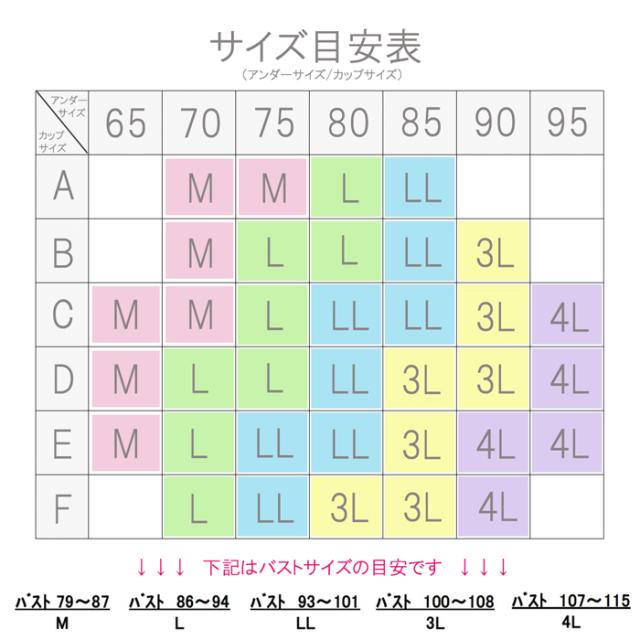 カラーバリエーション