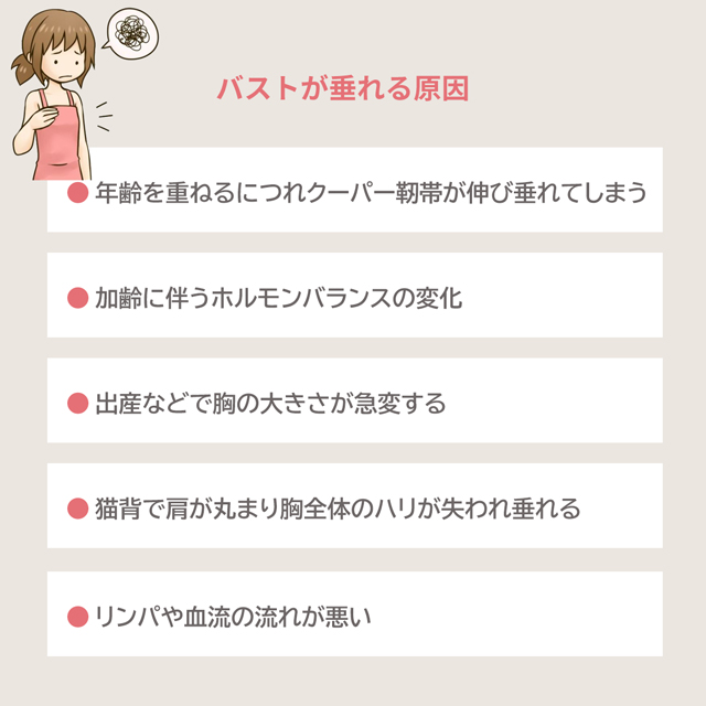 バストが垂れる原因