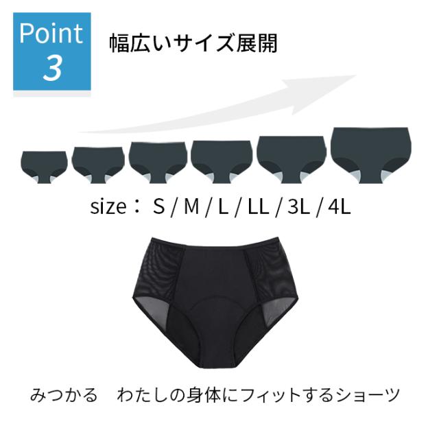 多い日も安心 サイドメッシュの吸収型サニタリーショーツ