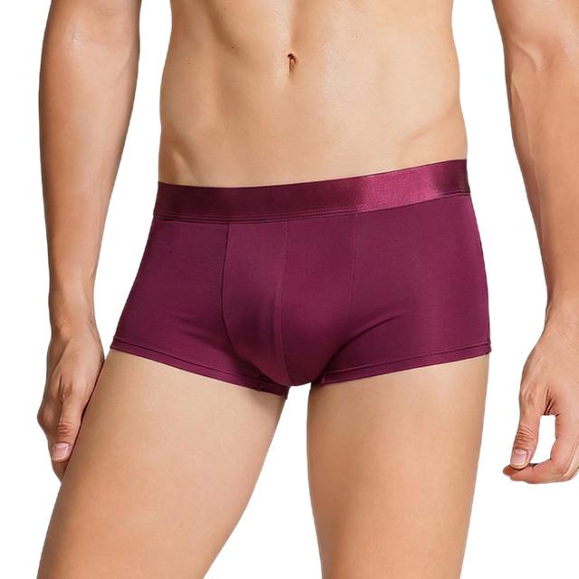 【送料無料】シルク100％ メンズボクサーパンツ