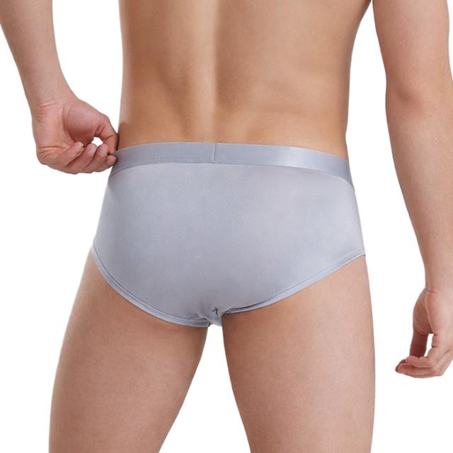 【送料無料】シルク100％でなめらか メンズシルクブリーフ