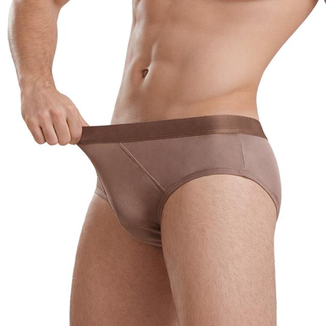 【送料無料】シルク100％でなめらか メンズシルクブリーフ