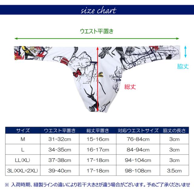 股間収まる個性派Tバックショーツ