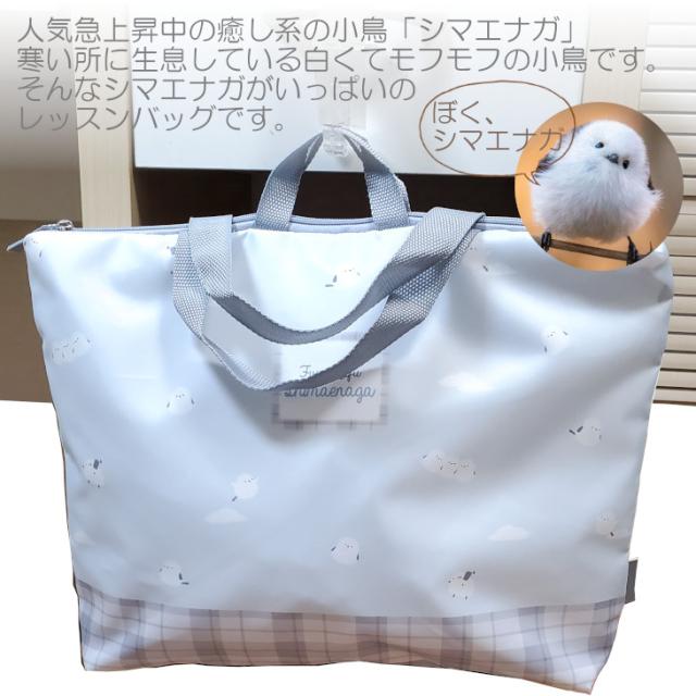 洗えるレッスンバック