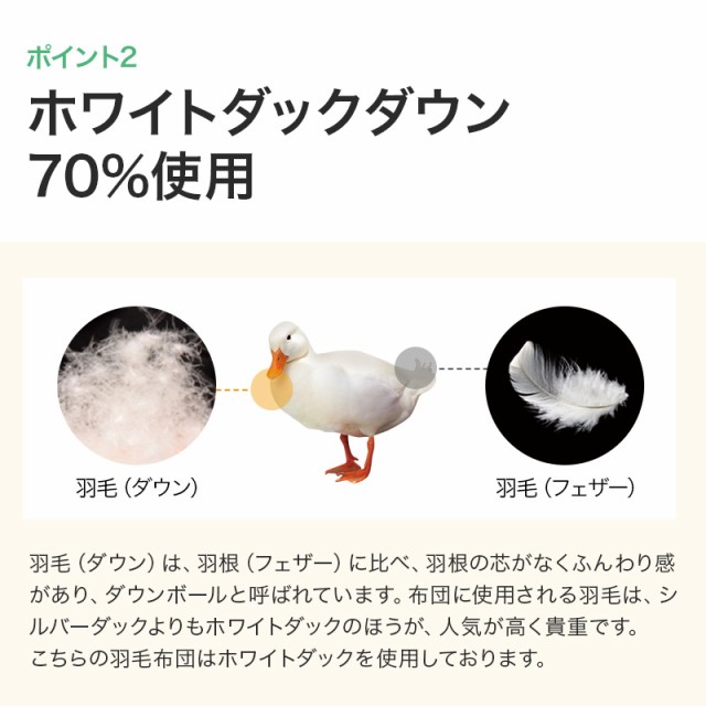 コンパクト TTC マーケット - ふとん工場サカイ au PAY マーケット店|商品ロットナンバー:451820598 羽毛オールシーズン掛布団 ダウン70% シングルの通販はau PAY ェザー