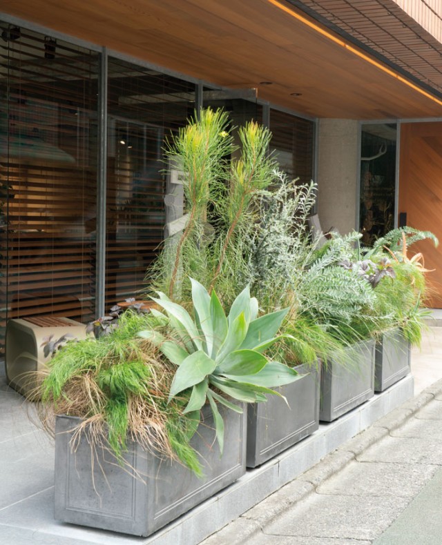 セット 植木鉢 カバン トランク プランター アイボリー ゴールド