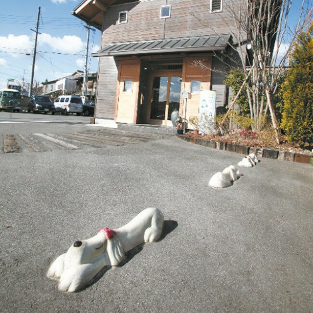 楽天 駐車場 タイヤ止め ブロック 車止め アニマル おしゃれ 駐車場車止め 駐車場用品 火色 オス ドッグ オット カーストッパー その他エクステリア Astrouprock Com