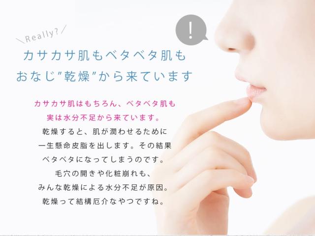 美ルル belulu MoisMist モイスミスト 美顔器 ハンディミスト 乾燥 保湿 スキンケア 肌 ナノ nano