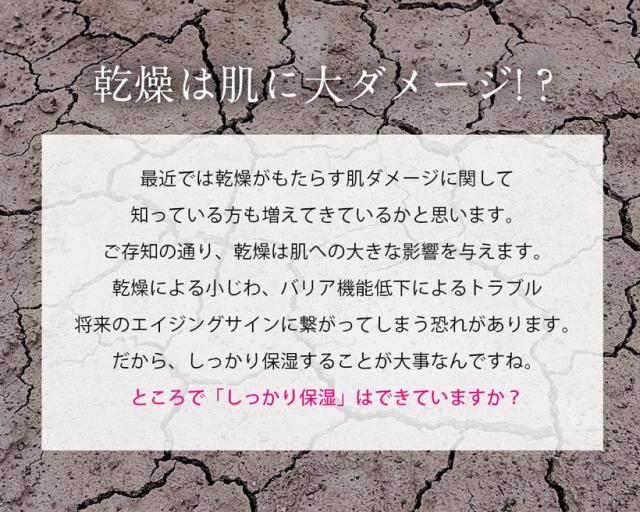 美ルル belulu Uru Mist フェイス フェイシャル スチーマー フェイスケア スキンケア 保湿 潤い 乾燥肌対策