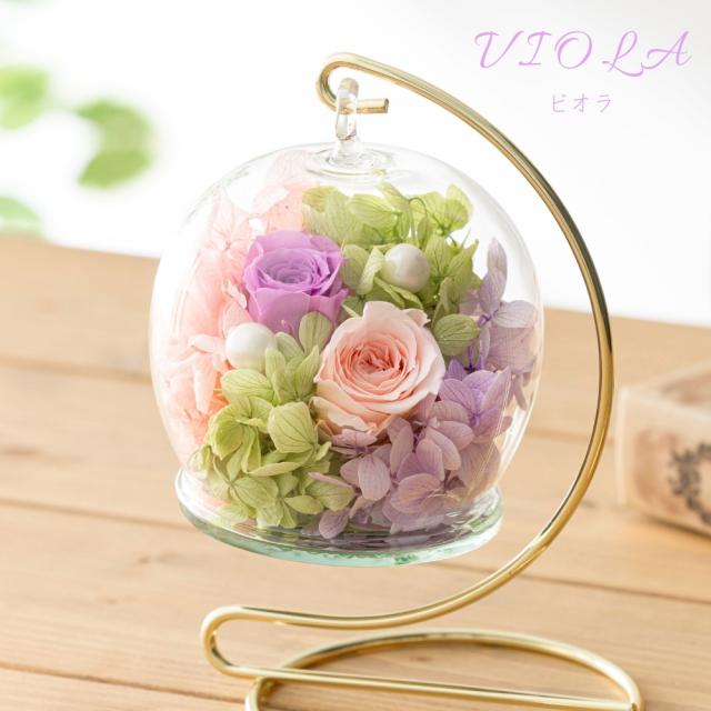 ビジュリー カラー ビオラ