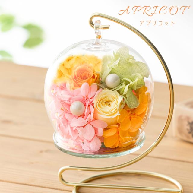 ビジュリー カラー アプリコット