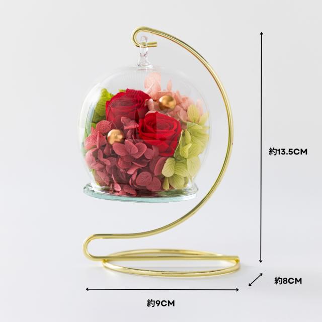 ビジュリー サイズ