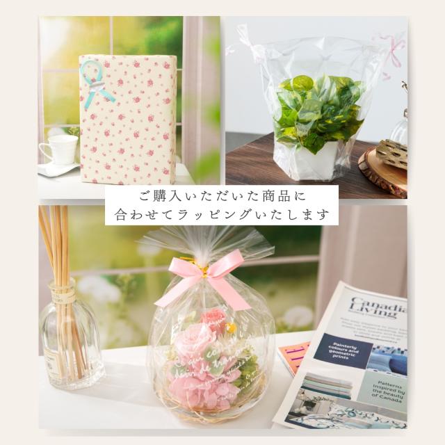 ビジュリー ラッピング