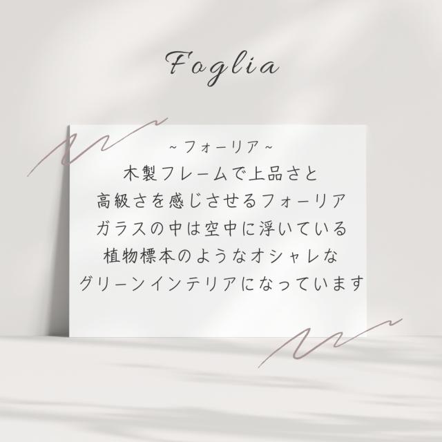 プリザーブドフラワー フォーリア3