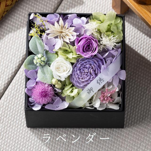 こころね カラー1