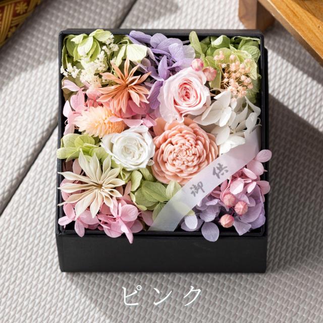 こころね カラー2