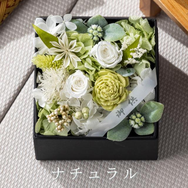 こころね カラー3