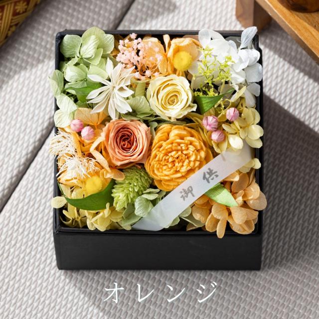 こころね カラー5