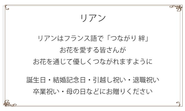 プリザーブドフラワー リヤン2