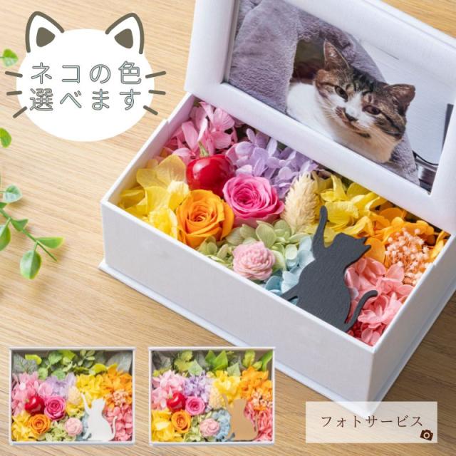 プリザーブドフラワー ミニョン1