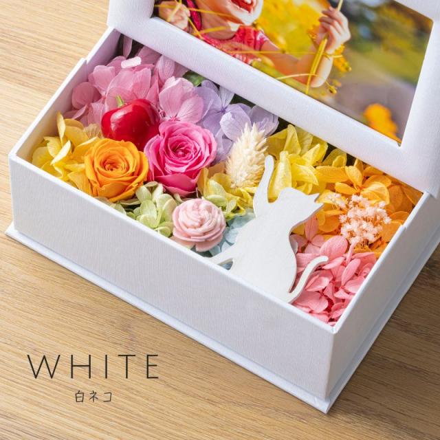 プリザーブドフラワー ミニョン5