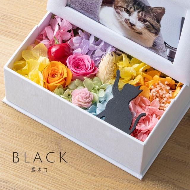 プリザーブドフラワー ミニョン6