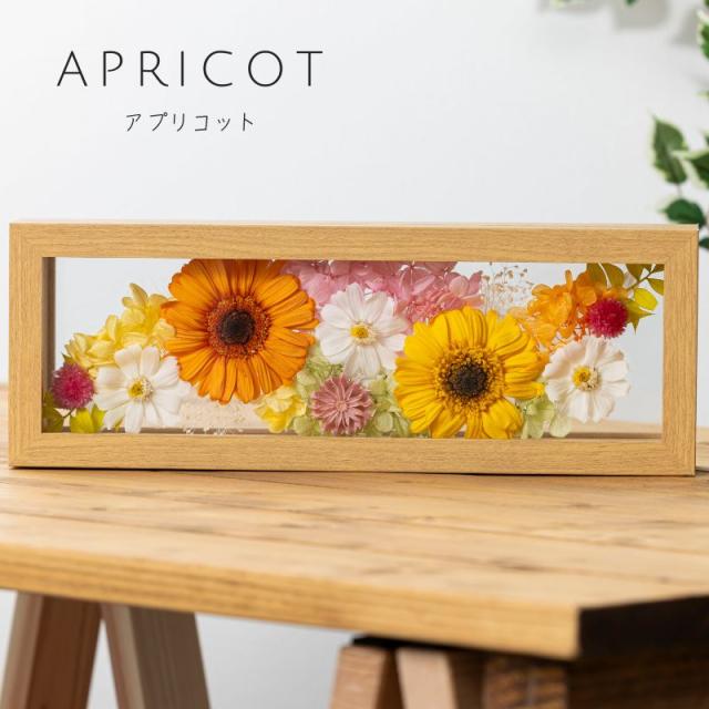 プリザーブドフラワー プレズィール7