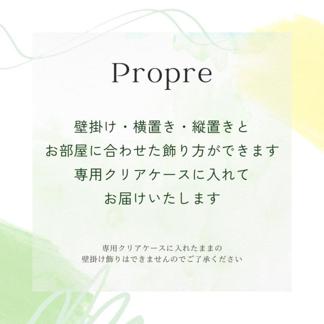プリザーブドフラワー プロープル2