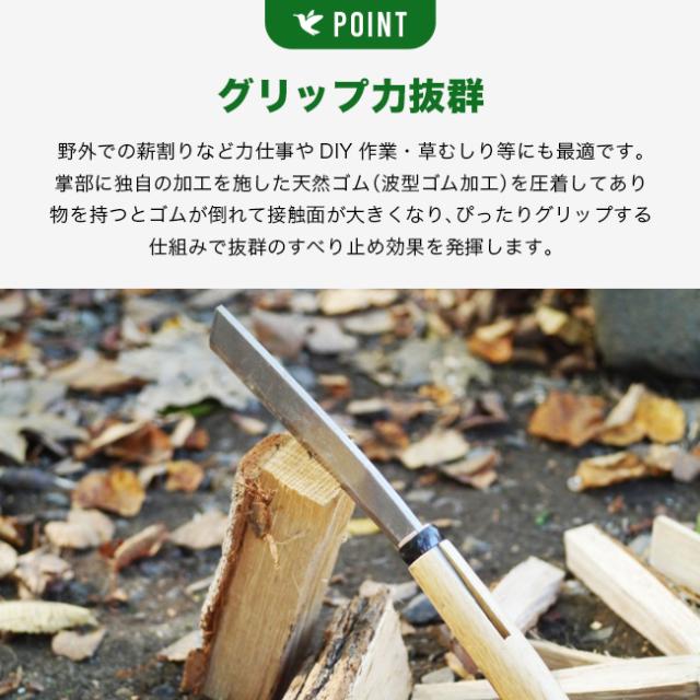 日本野鳥の会