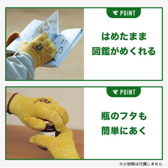 日本野鳥の会