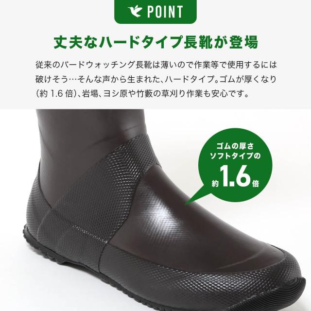 日本野鳥の会