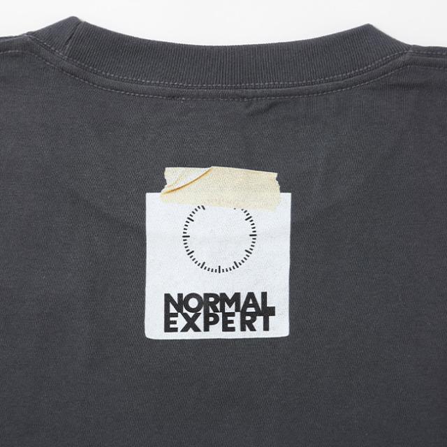 NORMAL EXPERT