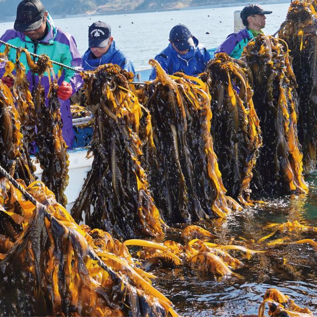 創業のこだわり