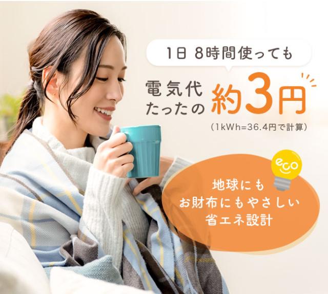 ホットマット,電気マット,ホットカーペット,一人用,足,手,お腹,背中,腰,洗える,温度調節,電熱,加熱,ヒーター内蔵,USB,防寒対策,寒さ対策,冷え対策,あったかグッズ,冬,