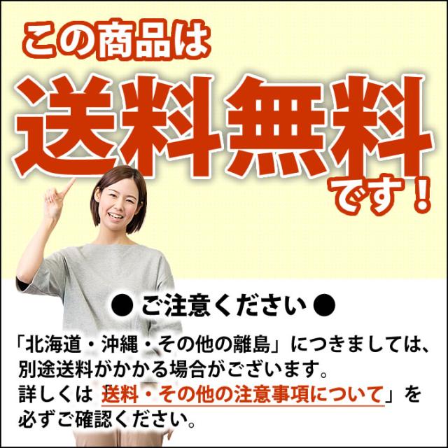 送料無料