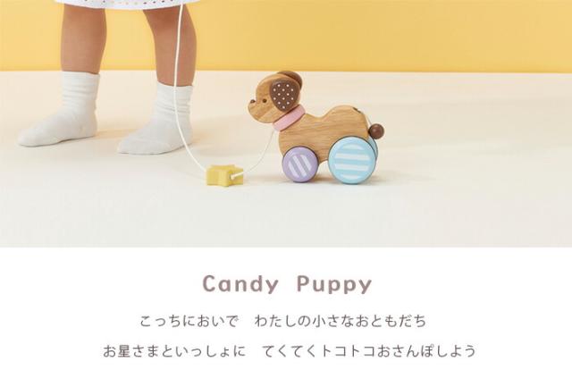 おもちゃプルトイプルトーイお散歩ペットミルキートイMilkyToyCandypuppyキャンディーパピー出産祝い男の子女の子北欧木製木１歳１歳半1.5歳２歳ギフトエドインター