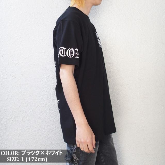 Norton ノートン Tシャツ メンズ 