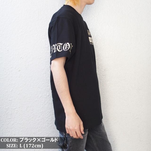 Norton ノートン Tシャツ メンズ 