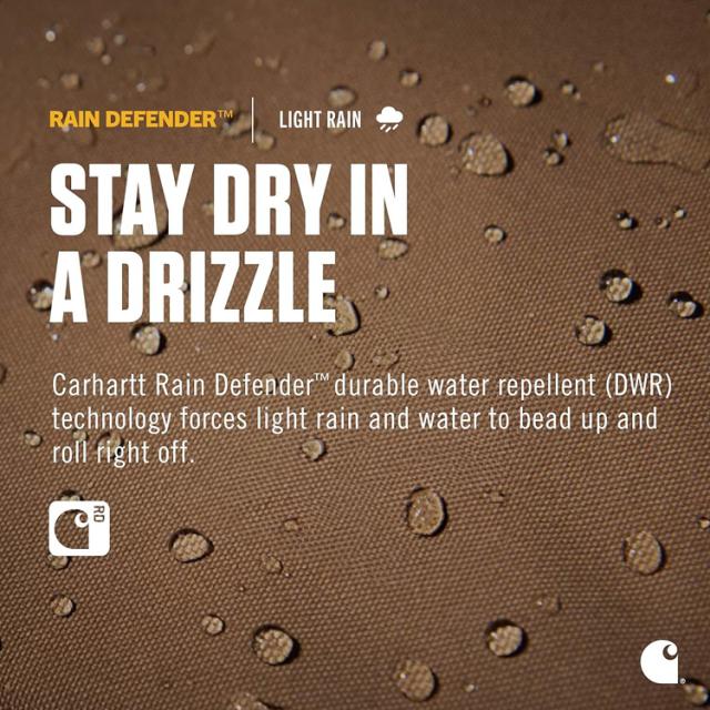 carhartt カーハート バックパック リュック デイパック バッグ