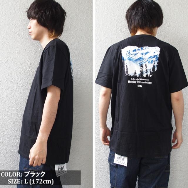 north face ノースフェイス tシャツ