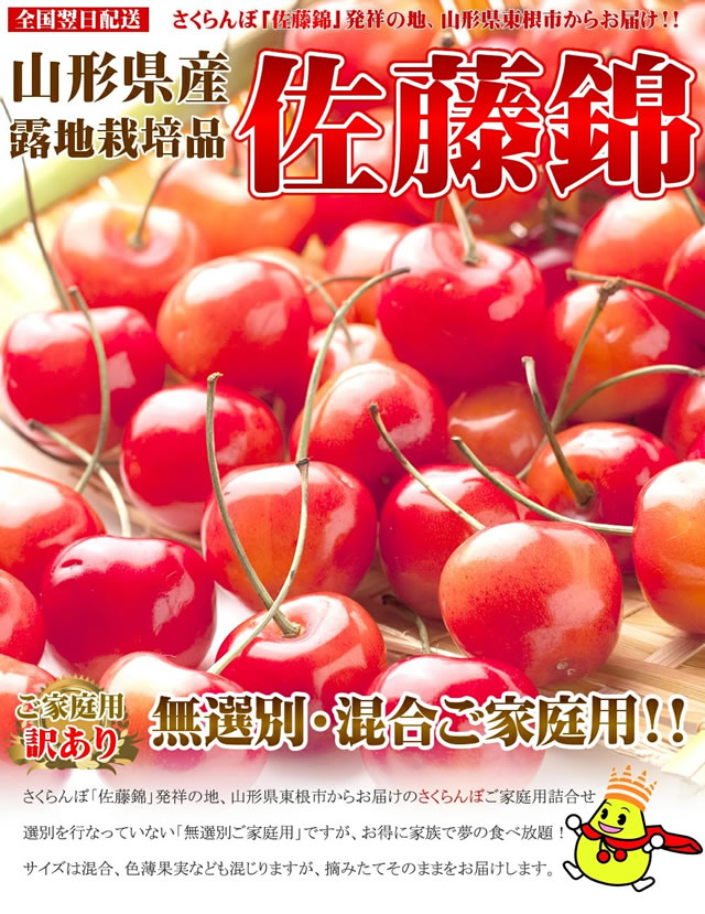 山形県産 さくらんぼ 佐藤錦