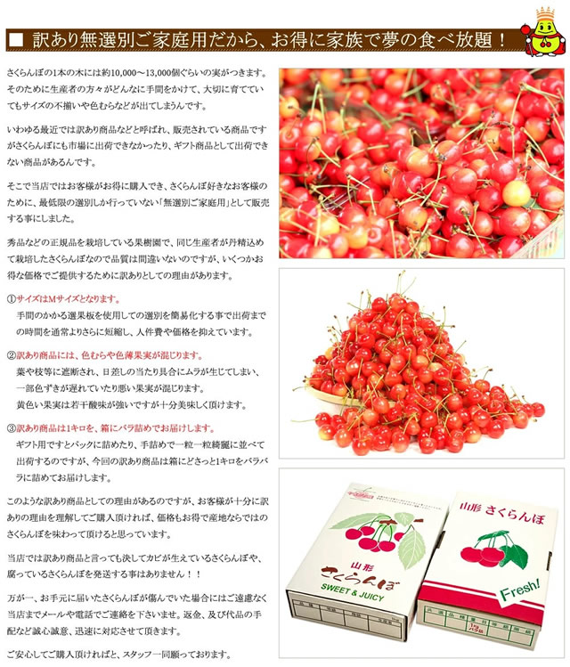 山形県産 さくらんぼ 佐藤錦