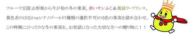 秀品 冬の果実3色詰め合わせ