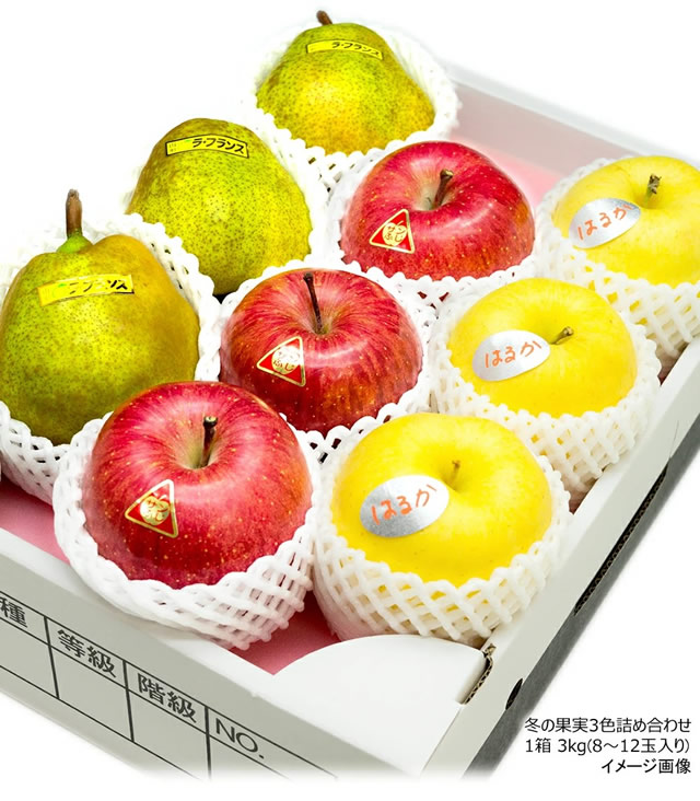 秀品 冬の果実3色詰め合わせ