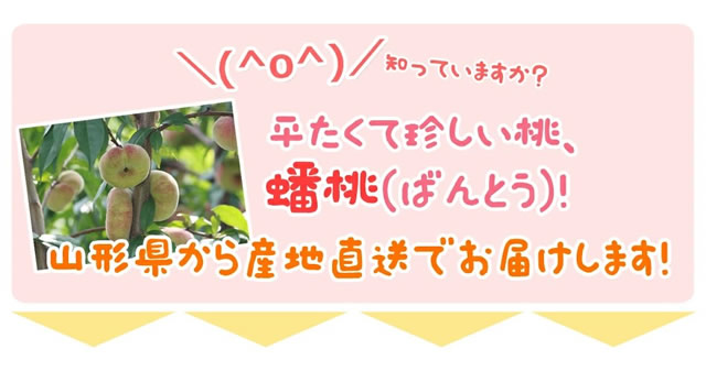 山形県産 蟠桃(ばんとう)