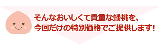 山形県産 蟠桃(ばんとう)