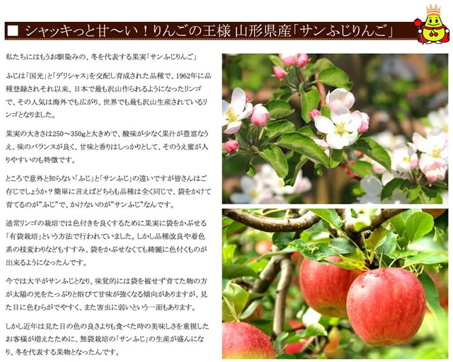 秀品 ふじ&王林 詰め合わせ