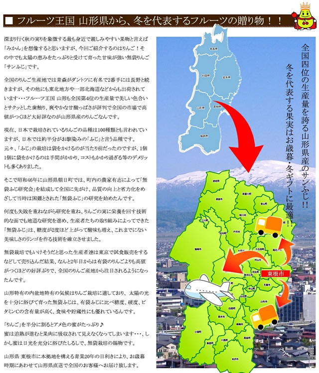 特秀品 サンふじ