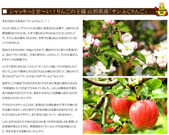 特秀品 サンふじ