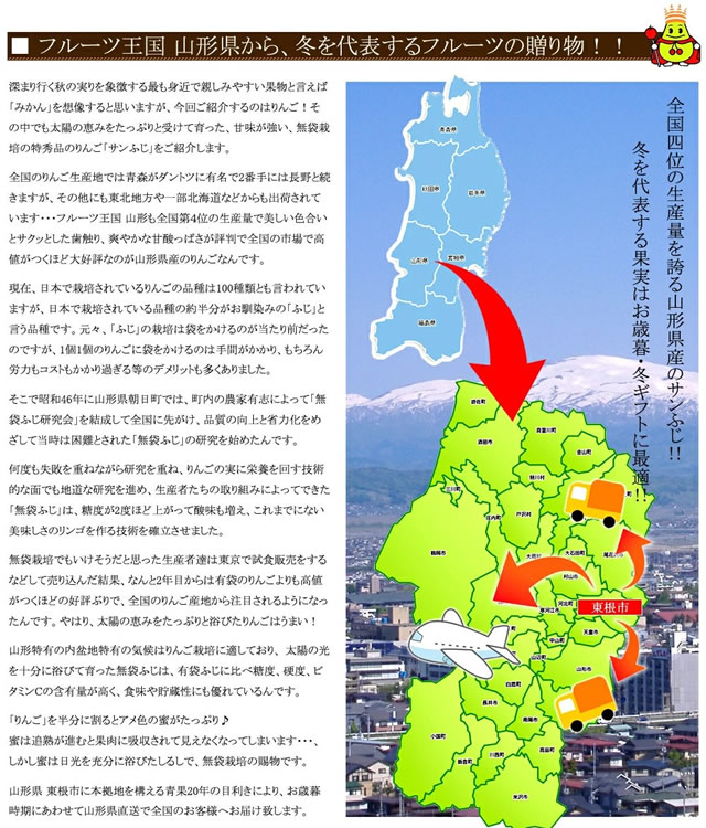 特秀品 サンふじ